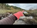 Beaver Dam Removal Compilation! Excavator and manual removals.