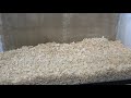 Full power refuses to clean vs Owner![Funny Hamster]