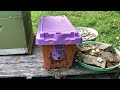 Installing a swarm in a queenless colony to make more honey. Harvest time soon! Hive Checks 05/04/24