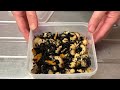 Hijiki & Chickpeas | Boil downed Seaweeds and Beans | ひじきとひよこ豆の煮物