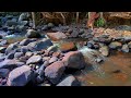 ASMR Relaxing Mouth Sounds, Relaxing Forest Streams, Most Beautiful Nature | Relaxing Water Sounds