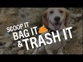 Biodegradable bags causing 'poop bombs' on local trails