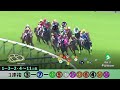 【競馬検証】３連複９点！広範囲で高配当・高的中率を狙う🎯!!