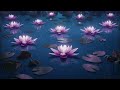 Healing For Guided Sleep Meditation - Heal Your Body While You Sleep - Deep Sleep Guided Meditation