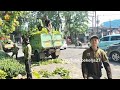 kesabaran di uji hingga jalan pulang tebang pohon Pete cina dan pohon karet kebo di jalur sempit