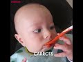 Babies Trying New Foods