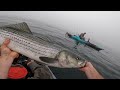 Live Eels Got The Big One! Kayak Fishing For Stripers