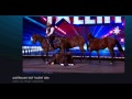 Audition Guy MacLean Horsemanship Australia's got talent 2016