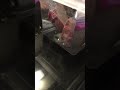 COOKING SOUS VIDE