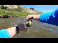 High Water Streamer Fishing on Alberta's Crowsnest River - POV High Water Fly Fishing Streamers