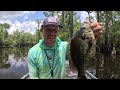 Fish Burger FEAST in the Swamp! Shell Cracker Catch Clean Cook