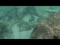 Snorkeling Smith Barcardere Cove in Grand Cayman