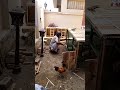 wooden cage making for Desi misri hens