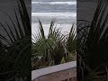 6,19,2024 blue mountain beach fl. surfer's make attempt to surf angery sea's