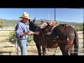 Custom Saddles for Mules - Introduction Video by Joseph Gee Saddlery