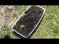 Garden Compost tips