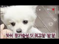 #2023년 #미니여신 엄마랑계곡나드리