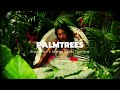 Bryson Tiller Type Beat x Summer Walker Type Beat ''Palmtrees'' R&B Type Beat