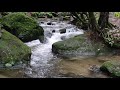 2022 Calm River flowing in the Mountain Forest | Relaxing White Noise Water Sounds for Sleeping