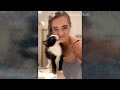 Funny and cute CATS 🐱Videos🔶 Сompilation # 36🔶