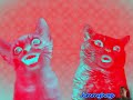 Preview 2 Numa Cat Effects 5