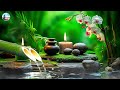 Full Nature Sound Brain Therapy, Sleep Relaxation, Insomnia, Difficulty Focusing and Stress