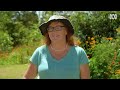 How this woman lived off only her edible garden for a year | Discovery | Gardening Australia