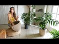 Full Day of Plant Shopping + Plant Decor | Vlog