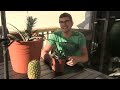 How to Re-Grow a Store Bought Pineapple - Complete Growing Guide