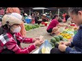 Harvest the jackfruit garden and bring it to the market to sell - gardening