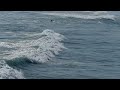 LUMIX DMC-FZ200 120fps HD High-Speed Movie Slow-motion: SURFING IN Surf City