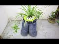 Amazing Craft idea - Make Cement Pot from Old Jeans - Very Easy Unique
