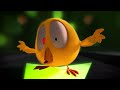 Where's Chicky? Funny Chicky 2023 | GOLDEN GATE BRIDGE | Cartoon in English for Kids | New episodes
