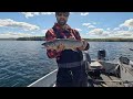 Smallmouth and Lake Trout on the KASTKING Kestrel Elite Mag BFS - Unboxing and Review