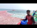 Amazing Big Catch Fishing Skill // Net fishing in the Sea // Boat //Sea / Fishinh Devamagupallivlogs