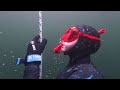 Fun Diving at Tuwanek