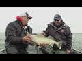 Shivering Walleyes on Lake Sakakawea (Season 13 Ep 13)