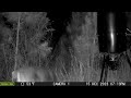 My Feeder 12 point video 2