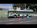 Bus show Blue Bird El Salvador