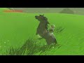 10 Arten von Spielern | Zelda Breath of the Wild