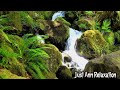 Beautiful waterfall flowing over mossy rocks - calming sounds of water for sleep or focus