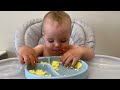 Funny Reaction Ever!Baby enjoys watching how an omelette is cooking!!
