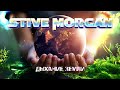 STIVE MORGAN - ДЫХАНИЕ ЗЕМЛИ. #relax #morgan @melomaninstrumentalcollection