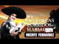 Vicente Fernandez Sus Mejores Éxitos ~ Vicente Fernandez Grandes Éxitos Completo 2024