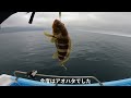 めちゃ楽しすぎる高活性の夏の海！今日も小舟で沖へ出ます