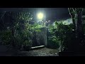 Constant & Natural Rain Sounds at Night Without Thunder for Sleeping & Relaxation | Indonesia ASMR