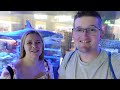 Dubai Aquarium Is AMAZING! Dubai Mall Sightseeing & More!