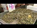 倫敦海鮮市場 | 4am Weekday London Billingsgate Market during Covid