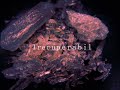 Phantom - Irecuperabil (Official Visual)