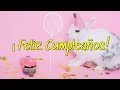 ¡Feliz Cumpleaños!